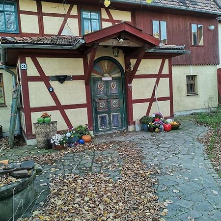 Апартаменты Appel-Ranch Bockelwitz Экстерьер фото