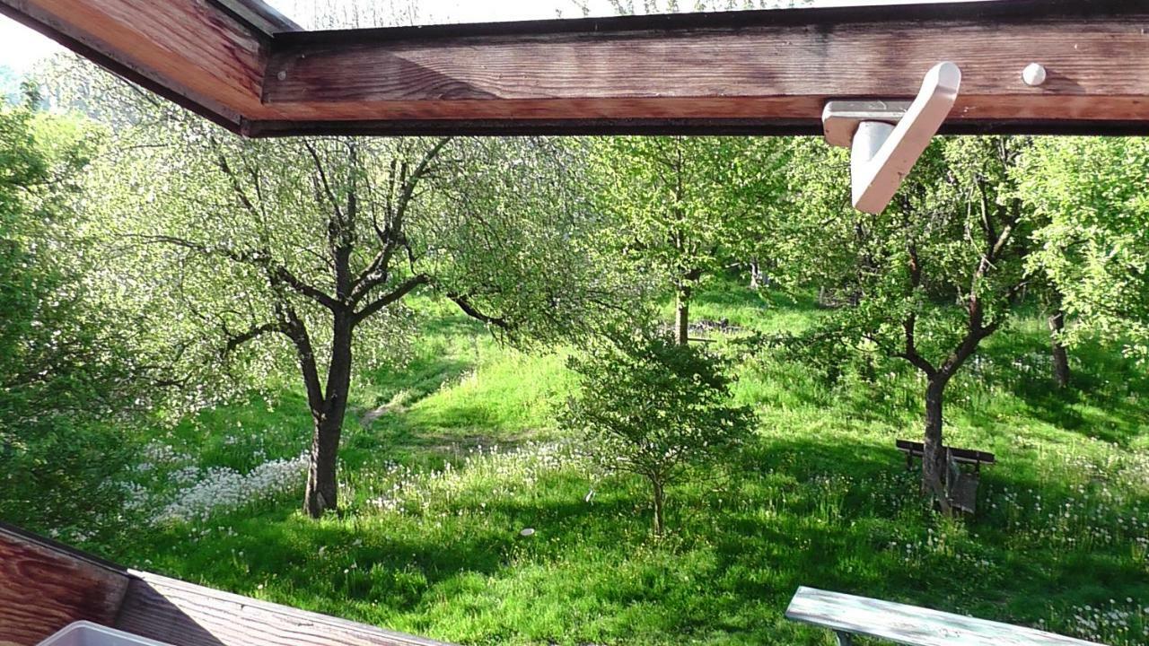 Апартаменты Appel-Ranch Bockelwitz Экстерьер фото